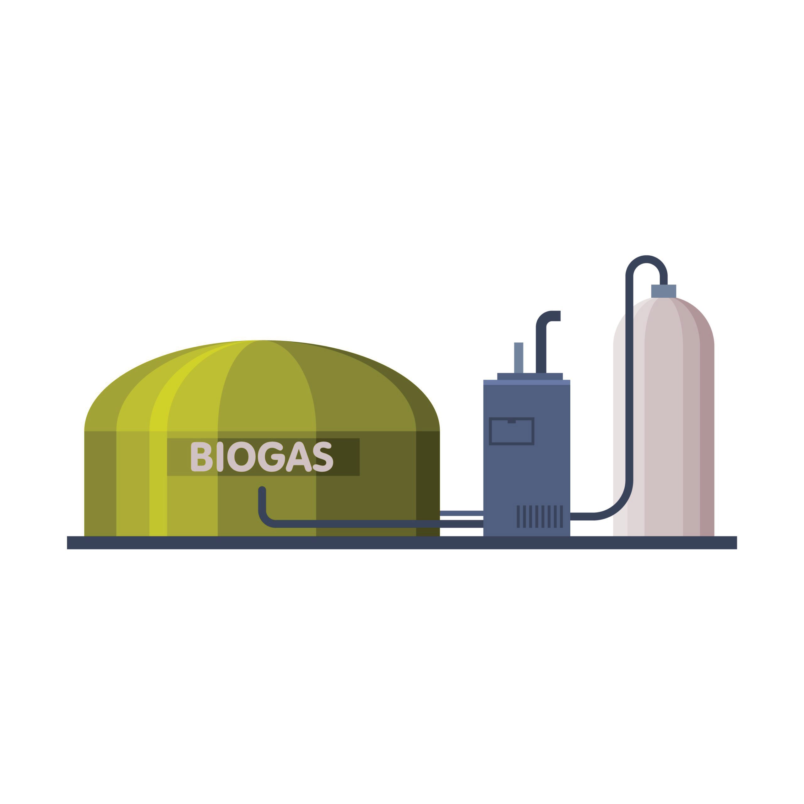 Biogas Purification