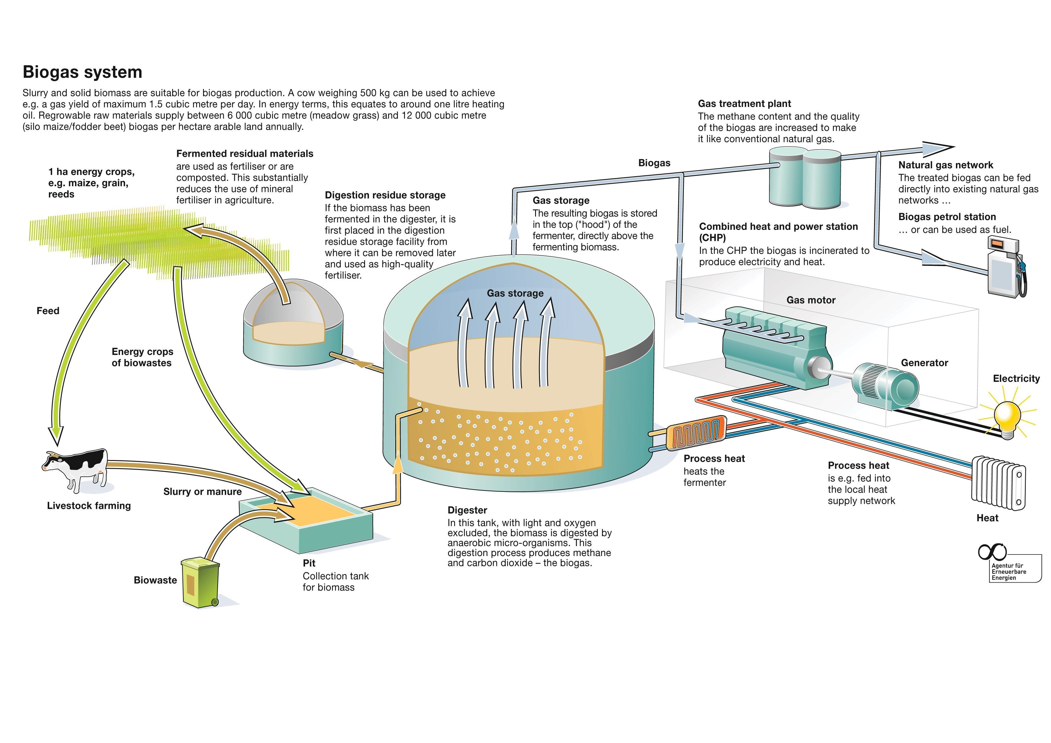 BIOGAS Purification & ﻿Green Energy Initiatives